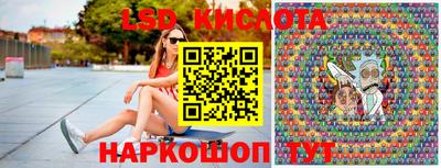 прущие грибы Новозыбков