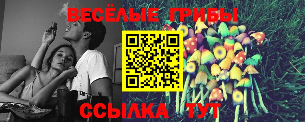 Галлюциногенные грибы мицелий  купить   Кондопога  Галлюциногенные грибы прущие грибы  Вход с VPN 